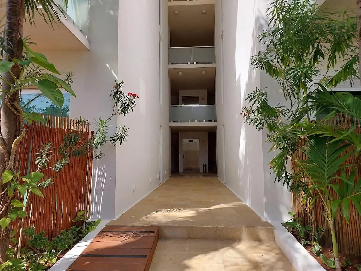 بيت للعطل Oceanview Pool Near Av 5Th Beach 6 Guest Fast Wifi بلايا ديل كارمن المكسيك