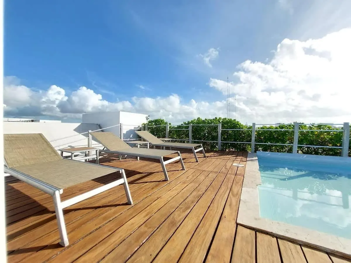 Oceanview Pool Near Av 5Th Beach 6 Guest Fast Wifi بلايا ديل كارمن بيت للعطل