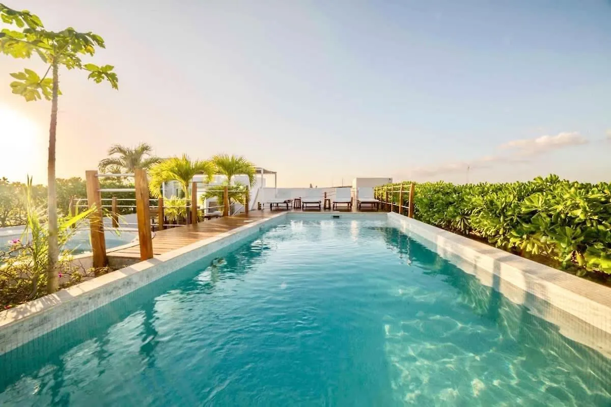 Tatil Evi Oceanview Pool Near Av 5Th Beach 6 Guest Fast Wifi Playa del Carmen Meksika